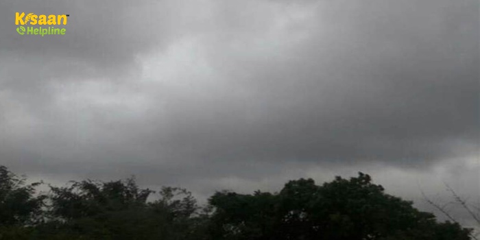 Weather Update:  मध्यप्रदेश समेत कई राज्यों में होगी भारी बारिश, मौसम विभाग ने जारी किया भारी बारिश का अलर्ट