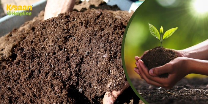 किसान भाई वेस्ट डीकंपोजर का उपयोग करके बढ़ा सकते है अपनी आय और उपज