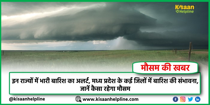 Weather Update: इन राज्यों में भारी बारिश का अलर्ट, मध्य प्रदेश के कई जिलों में बारिश की संभावना, जानें कैसा रहेगा मौसम