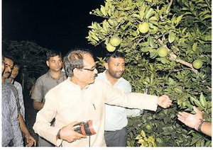 परंपरागत खेती में लाभ नहीं, किसान उद्यानिकी पर दें ध्यान- मुख्यमंत्री 