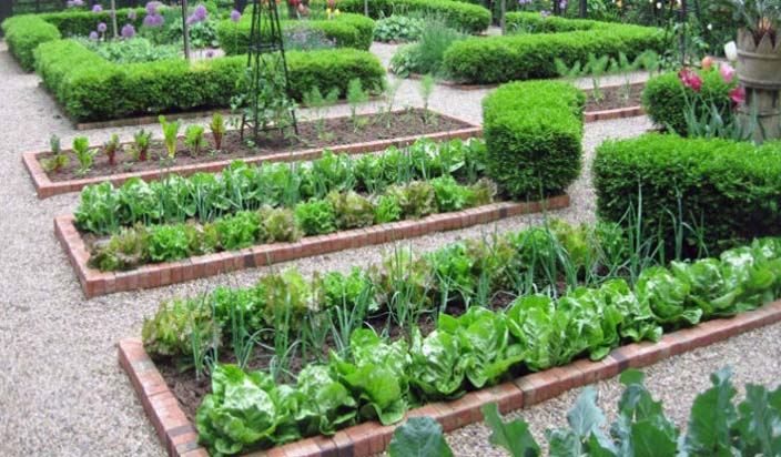 जब घर पर ऊगा सकते है सब्जी, तो फिर बाजार क्यों जाये