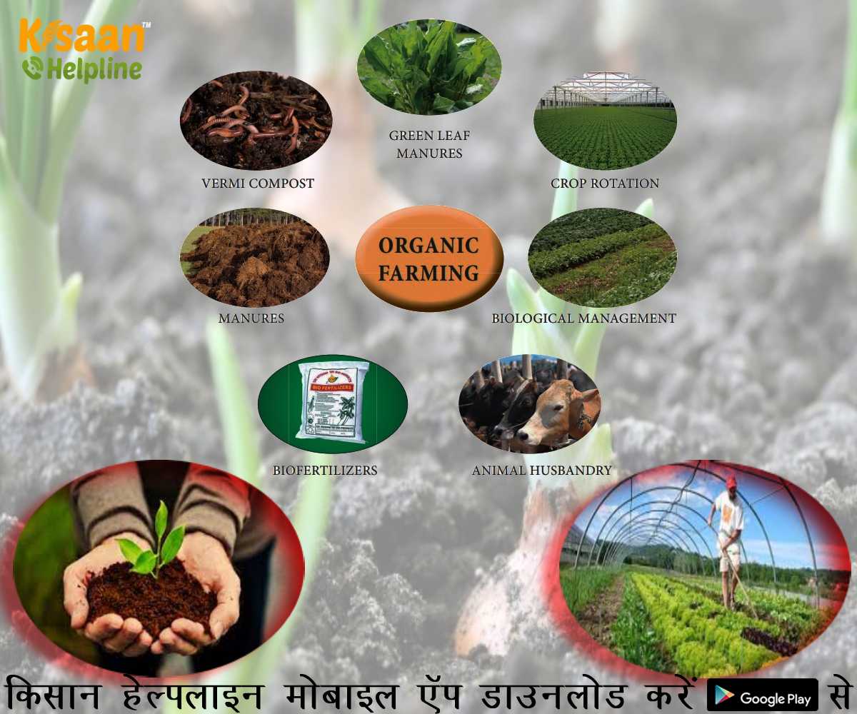 मध्यप्रदेश, उत्तराखंड और राजस्थान के अधिक किसानों द्वारा अपनाई गई जैविक खेती