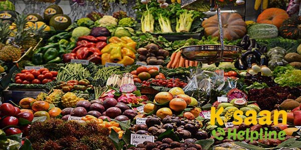 शाक वाटिका में सब्जी उगाने की विधि, सीजन, समय, और बीजों की जानकारी