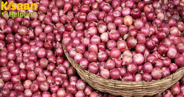 सरकार ने 35,857 टन आयातित प्याज का निपटान पूरा किया