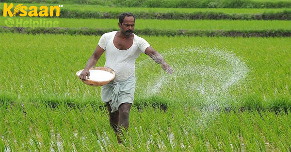 खरीफ फसलों का न्यूनतम समर्थन मूल्य बढ़ाने के लिए कृषि मूल्य पैनल