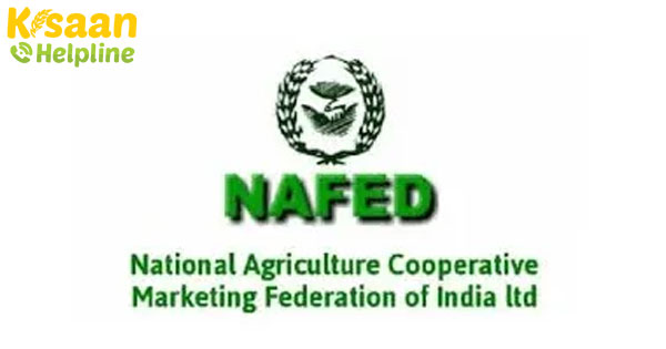 केंद्र ने दाल, प्याज खरीदने के लिए नैफेड को जारी किए 1,160 करोड़ रुपये