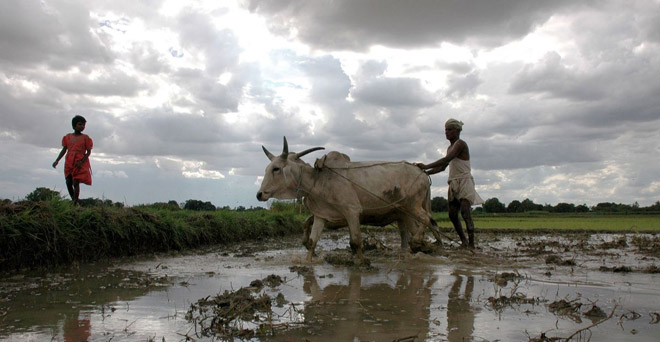 इस महीने अन्न उत्पादक राज्यों पर छा जाएगा मानसून, मौसम विभाग की ताज़ा जानकारी, बुवाई के लिए सही समय