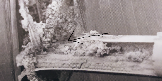 ध्यान दे ! ये कीट आपकी मक्का की फसल बर्बाद कर सकते है, पढ़े और जाने