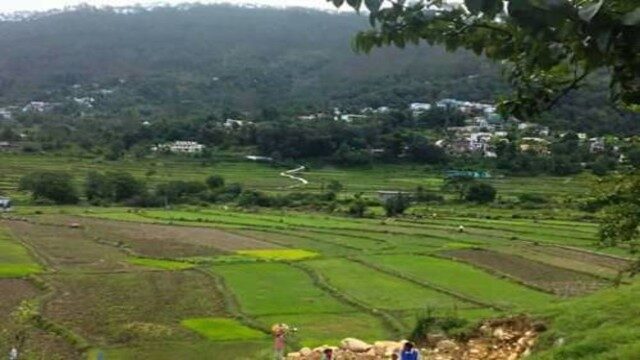 उन्नत खेती के लिए नवंबर माह में कृषि और बागवानी के ये काम जरूर करे