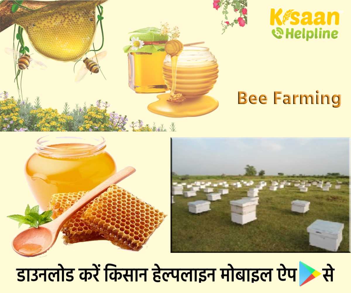 Success Story: एक सीमांत भूमि धारक किसान जो मधुमक्खी पालन से कमाते है करोड़ों रूपये, और लगभग 6,000 किसानों को किया प्रशिक्षित