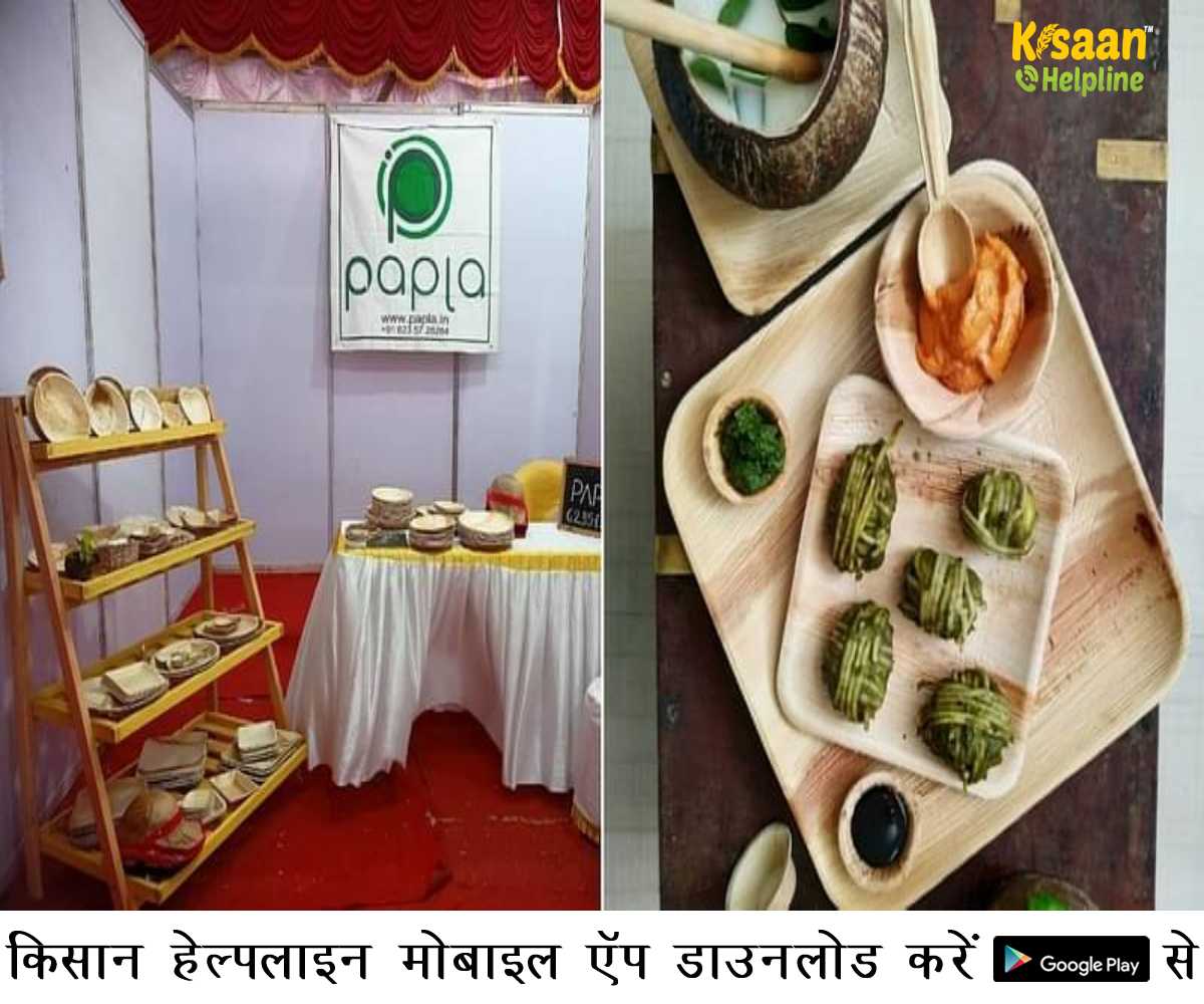 इस कपल ने टेबलवेयर बनाकर और सुपारी के पत्ते से बैग उगाकर कमाएं 2 लाख प्रति माह