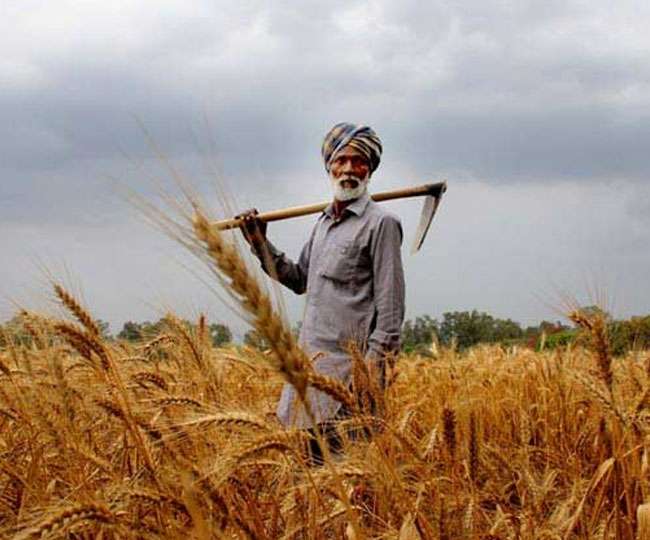राष्ट्रीय कृषि नीति की मांग: राष्ट्रीय हाईवे की तर्ज पर राष्ट्रीय सिंचाई राजमार्ग दूसरी हरित क्रांति को जन्म दे सकता है
