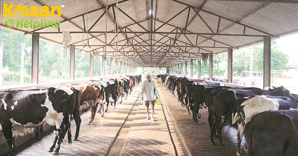 डेयरी किसानों को इस सरकारी योजना के माध्यम से 30% सब्सिडी के साथ 90% ऋण मिल रहा है, 30 जून तक करें आवेदन