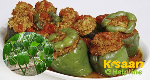 कैंसर जैसी बड़ी बीमारी की रोकथाम में सहायक है ये सब्जी, पढ़े और शेयर करे