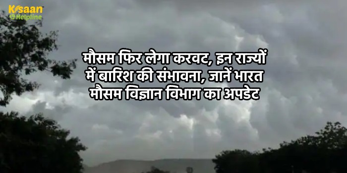 मौसम फिर लेगा करवट, इन राज्यों में बारिश की संभावना, जानें भारत मौसम विज्ञान विभाग का अपडेट