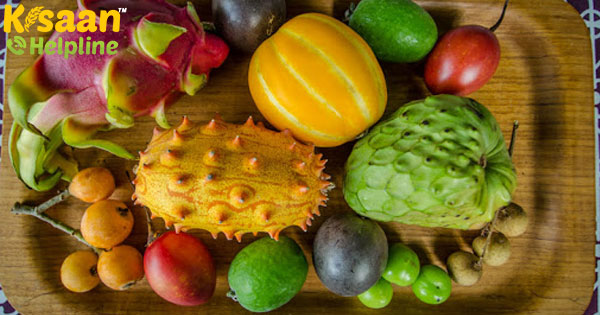 विदेशी फल दुर्लभ और महंगा, परिवहन में बाधाएं की वजह से नुकसान