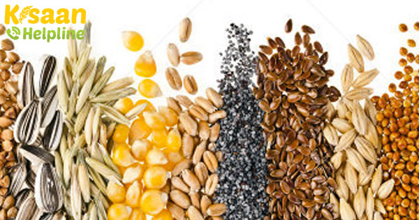 रिथू भरोसा योजना: किसानों को 15 मई को बीज खरीदने के लिए 5500 रुपये वित्तीय सहायता मिलेगी