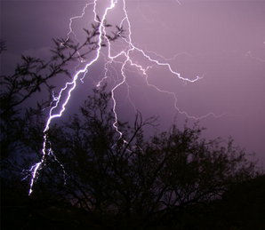 मध्य प्रदेश के लिए सुकूनभरी खबर, 15 जून तक भोपाल पहुंचेगा मानसून