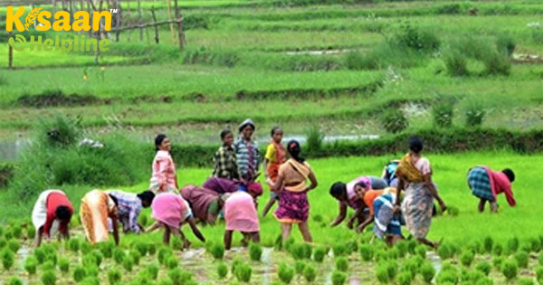 कॉन्ट्रैक्ट फार्मिंग के लिए एक नया कानूनी ढांचा पेश करना - केंद्र