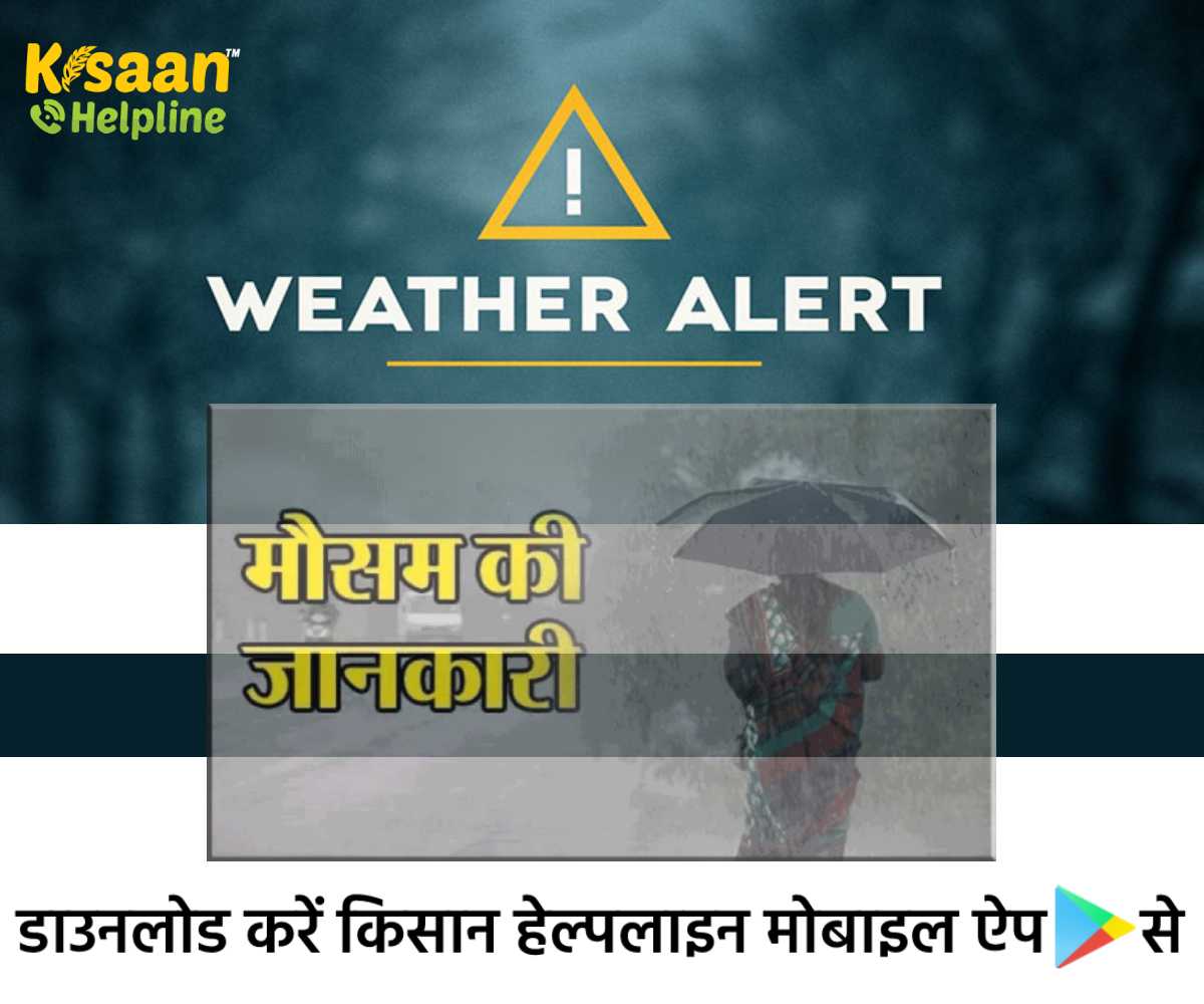 Weather Alert: मौसम को लेकर ICAR ने जारी की एडवाइजरी, जानिए मौसम आधारित फसल सलाह
