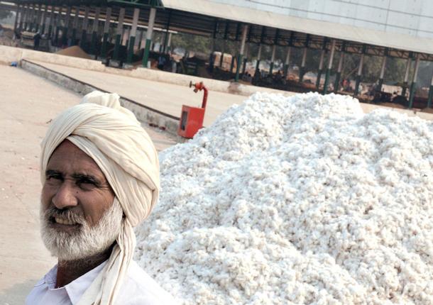 कपास लेकर आई किसानो के चहरे पर रौनक, छह हजार का आंकड़ा छूने की उम्मीद