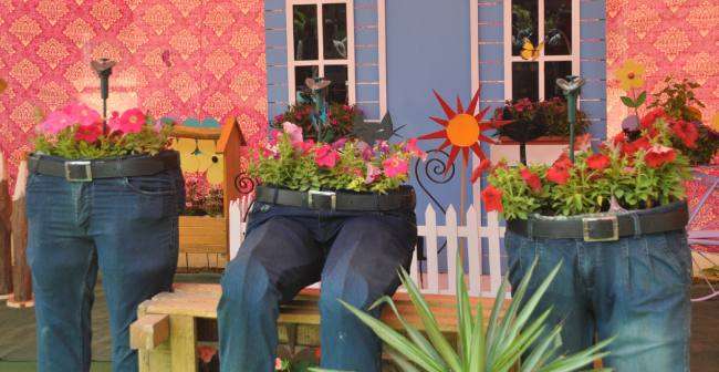 फूलों की खूबसूरती निहार-निहाल हुए लुधियानवी, पंजाब कृषि विश्वविद्यालय में