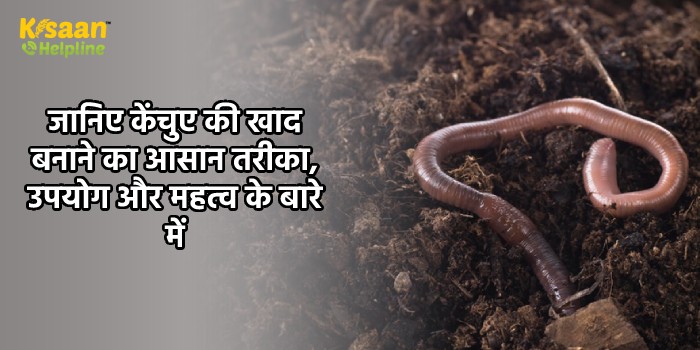 जानिए केंचुए की खाद बनाने का आसान तरीका, उपयोग और महत्व के बारे में 