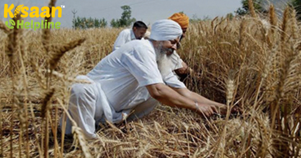 कृषि क्षेत्र को मजबूत करने के लिए मंडलों में विपणन, कोल्ड स्टोरेज के लिए 4,000 करोड़ रुपये चिह्नित