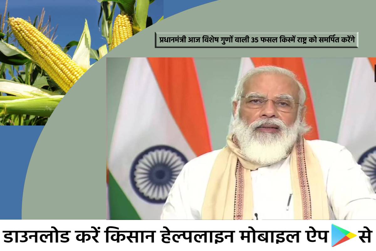 प्रधानमंत्री नरेंद्र मोदी आज 35 फसलों की खास किस्में देश को समर्पित करेंगे, साथ ही प्रधानमंत्री कृषि विश्वविद्यालयों को ग्रीन कैंपस अवार्ड भी बांटेंगे