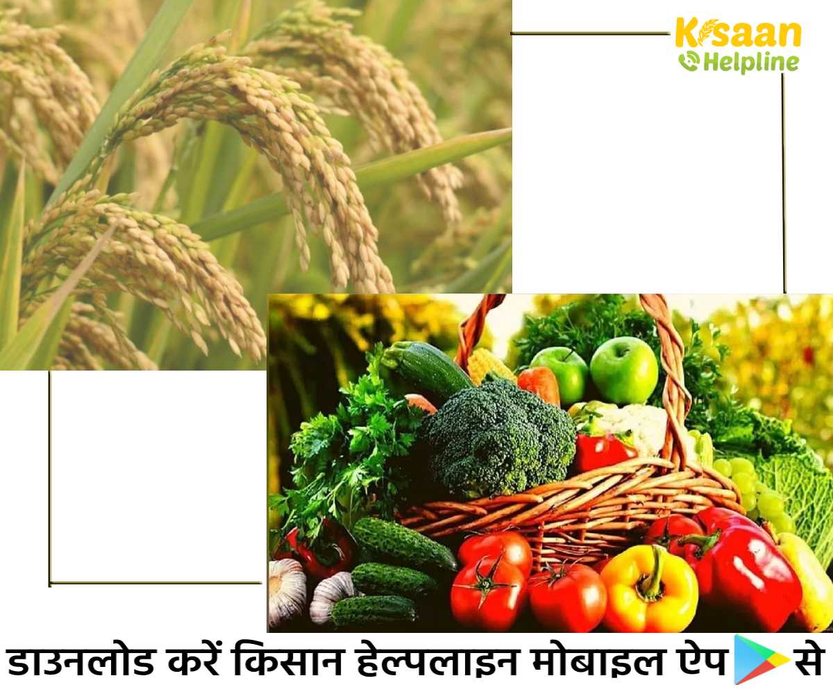 कृषि भौतिकी संभाग के कृषि वैज्ञानिकों के अनुसार किसानों को निम्न कृषि कार्य करने की सलाह