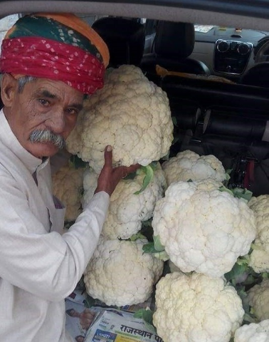 "पद्मश्री" सम्मान मिलेगा ग्यारह किलो की गोभी उगाने वाले किसान को