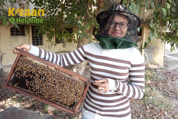 मध्यप्रदेश के अठाना गांव की महिला किसान मीनाक्षी धाकड़ बनी दूसरों के लिए प्रेरणा