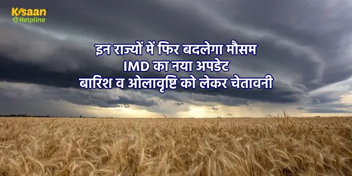 इन राज्यों में फिर बदलेगा मौसम, IMD का नया अपडेट, बारिश व ओलावृष्टि को लेकर चेतावनी