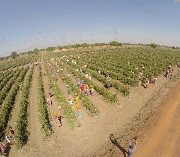 चौथी क्लास में तीन बार फेल ने वो कर दिखाया