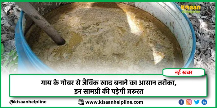 गाय के गोबर से जैविक खाद बनाने का आसान तरीका, इन सामग्री की पड़ेगी जरुरत