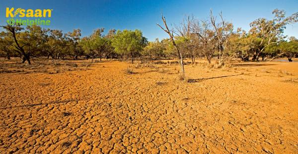 ऑस्ट्रेलिया में सूखे की क्षति के साथ, यूरोपीय कृषि योग्य खेती के लिए नए दृष्टिकोण