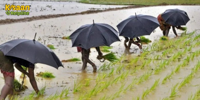 इन राज्यों में होगी भारी बारिश, मौसम विभाग ने दी चेतावनी, मानसून के आगमन से किसानों में उत्साह