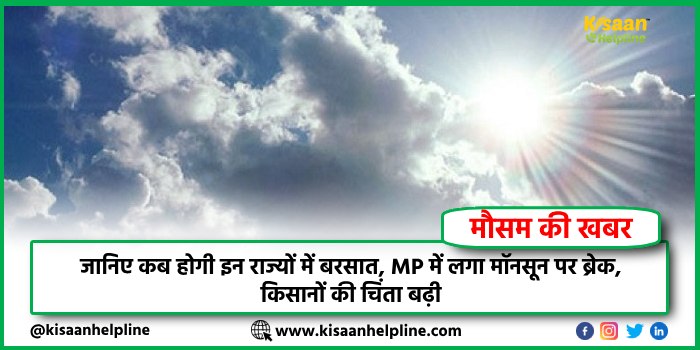 जानिए कब होगी इन राज्यों में बरसात, MP में लगा मॉनसून पर ब्रेक, किसानों की चिंता बढ़ी