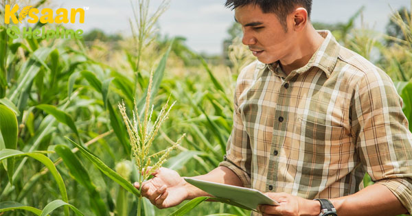 बीज और उर्वरक कंपनियां किसानों के साथ जुड़ने के लिए, कर रही डिजिटल प्लेटफॉर्म का उपयोग
