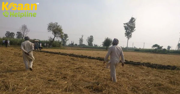 COVID-19 लॉकडाउन के कारण 92 एफपीओ के व्यापार के 67% प्रतिशत गिरावट: सर्वेक्षण