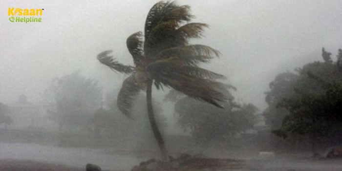 IMD Weather Update: इन राज्यों में बिगड़ेगा मौसम, बारिश और आंधी-तूफान का अलर्ट, IMD ने जारी की चेतावनी