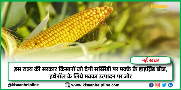 इस राज्य की सरकार किसानों को देगी सब्सिडी पर मक्के के हाइब्रिड बीज, इथेनॉल के लिये मक्का उत्पादन पर ज़ोर