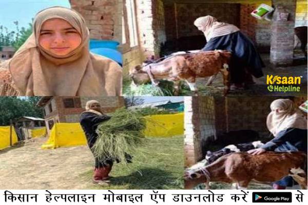 सफलता की कहानी: एक सफल डेयरी किसान आसिया ने डेयरी को बढ़ती बेरोजगारी का एक आशाजनक समाधान माना