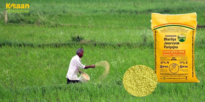 यूरिया गोल्ड से बढ़ेगी फसलों की पैदावार, जानें इसके उपयोग और फायदे के बारे में