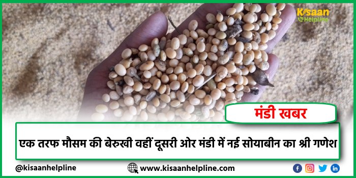 एक तरफ मौसम की बेरुखी वहीं दूसरी ओर मंडी में नई सोयाबीन का श्री गणेश