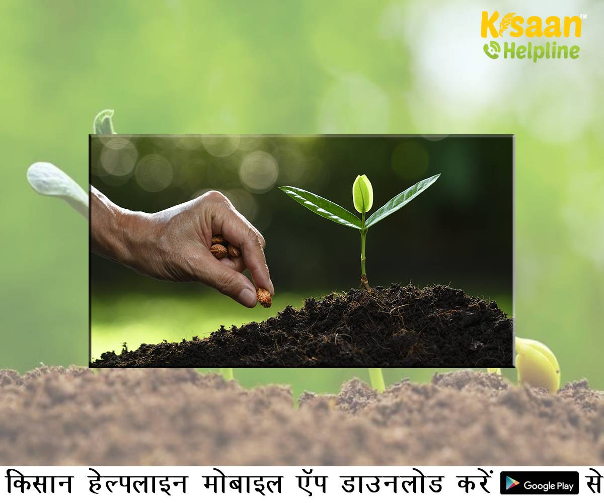 आईसीएआर (ICAR) प्राकृतिक खेती पर शोध करेगा, प्रदर्शित करेगा और इसे बढ़ावा देगा