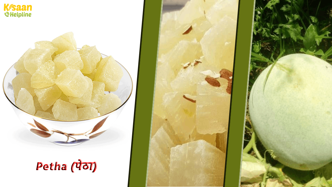 Panchsheel Nagar district (Hapur)