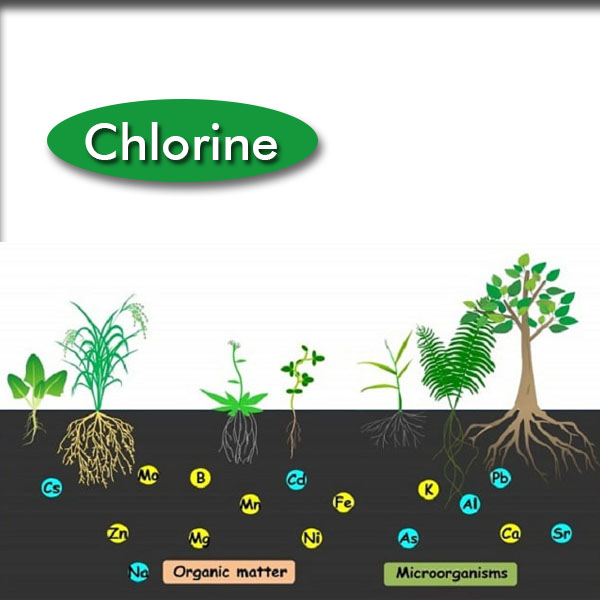 Chlorine  (क्लोरीन)