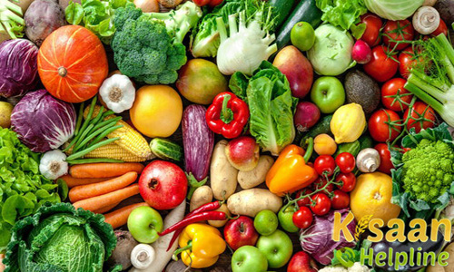 जानिए ! कौन सी सब्जी किस महीने उगाएं? 