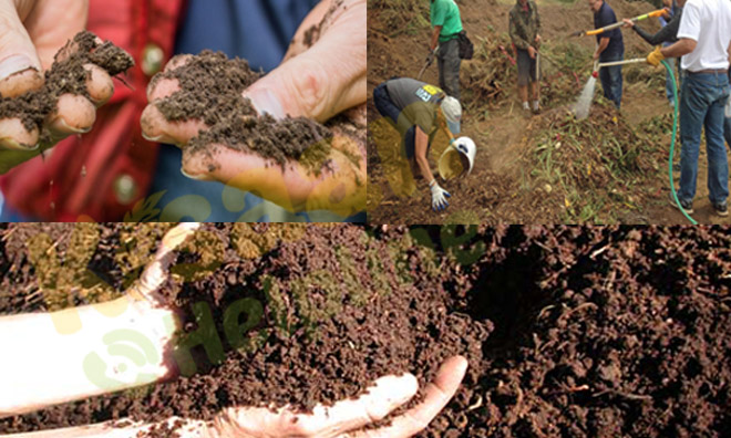 किसानों के लिए एक दिवसीय कृषि अपशिष्ट खाद प्रशिक्षण - कार्यशाला